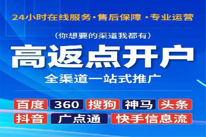 百度广告投放策略：成功案例解析