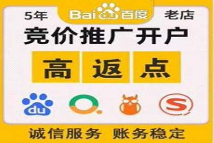 案例分享：SEM推广助力电商快速崛起